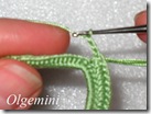 olgemini 17