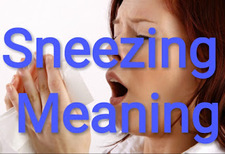 Sneezing Meaning