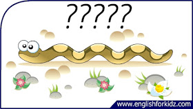 snake flashcard, cartoon snake image, esl flashcard