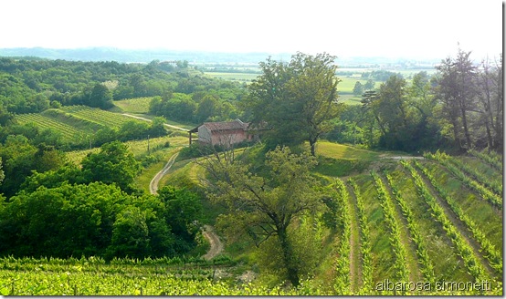 Cormons e varie 2011 048