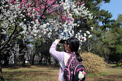 20180401小金井公園