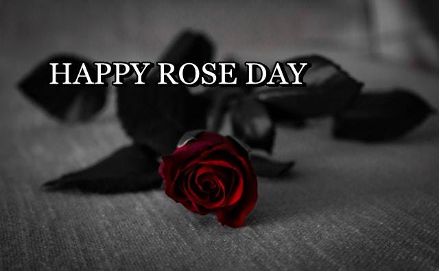 HAPPY ROSE DAY, ROSE DAY, ROSE DAY IMAGES DOWNLOAD