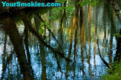 Abrams Creek off Cades Cove Loop Road