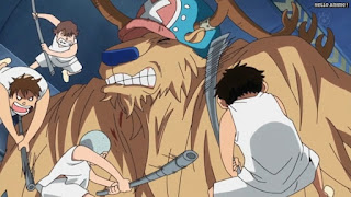 ワンピースアニメ パンクハザード編 609話 チョッパー モンスターポイント | ONE PIECE Episode 609