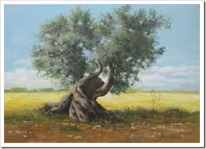Ulivo