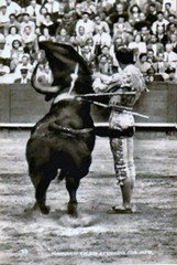 manolete6