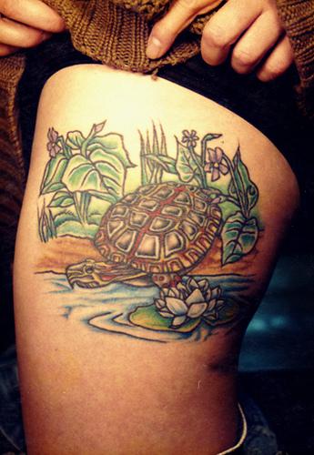 Chuck Vandervort's turtle tattoo… and an actual turtle. Turtle Tattoos