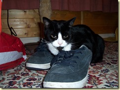 She has to be Puss in Boots3