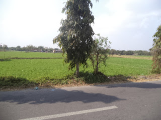 harga tanah di ngemplak kalikotes klaten, harga sawah di ngemplak kalikotes klaten, jadwal lelang kpknl surakarta, lelang internet djkn, lelangdjkn.kemenkeu