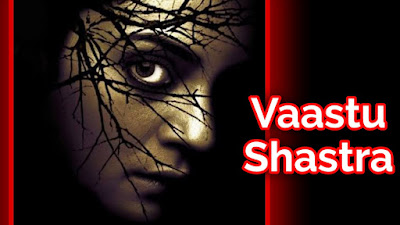 Vaastu Shastra film budget, Vaastu Shastra film collection