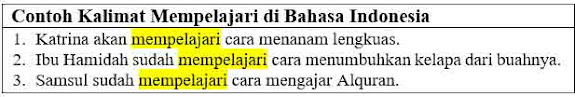 23 Contoh Kalimat Mempelajari di bahasa Indonesia dan Pengertiannya