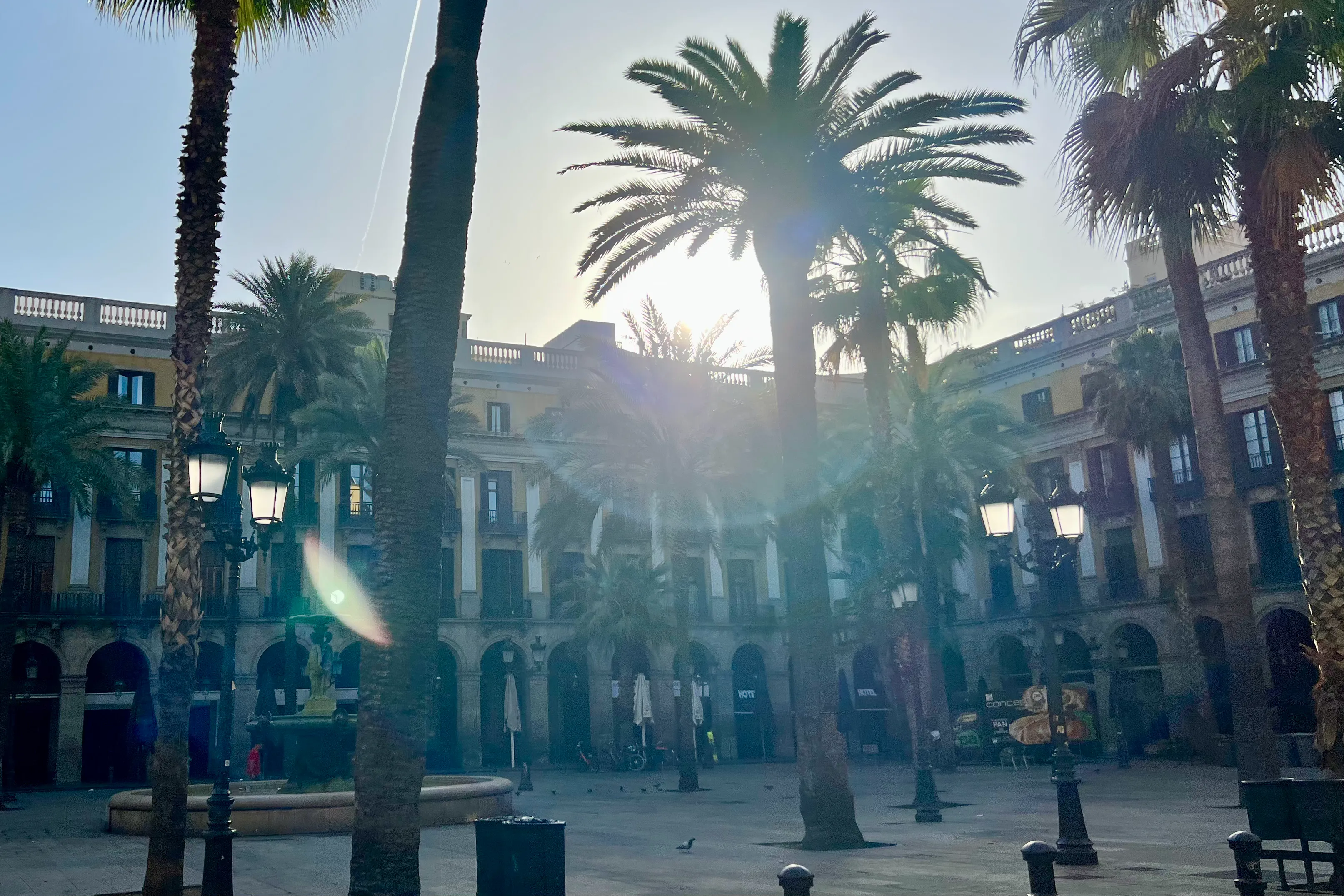 A photograph of a Spanish square with palm trees in Barcelona where you can eat food