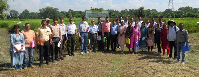 Participatory varietal evaluation held at KVK Nagaon