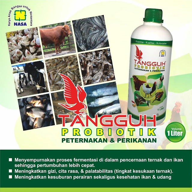TANGGUH PROBIOTIK - Probiotik Paling Bagus dan Banyak Di Cari Di Indonesia 