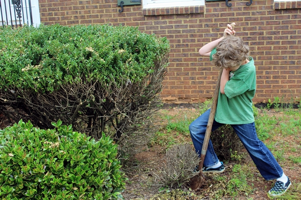 Cheap Landscape Fabric