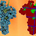 Científicos desarrollan un sistema para estimar la densidad de los racimos de uva de una forma objetiva y no invasiva