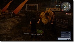 FINAL FANTASY XV_20161210095617