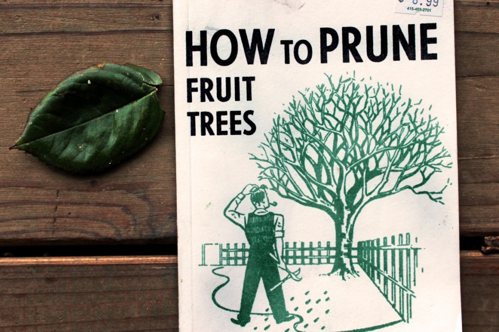 This is a wonderful little book: How to Prune Fruit Trees, by R. Sanford 