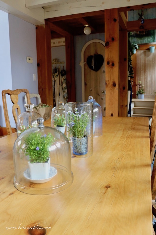 French Country Pine Table Refinish after photo shows table with patina of final finish