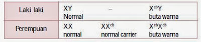 Kemungkinan Genotipe dan Fenotipe Buta warna