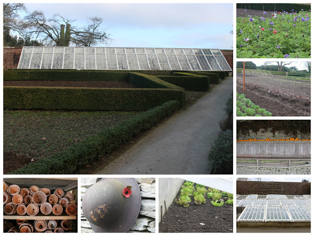 Heligan Kitchen garden collage