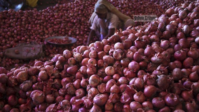 পেঁয়াজ রপ্তানিতে নিষেধাজ্ঞা তুলে নিল ভারত