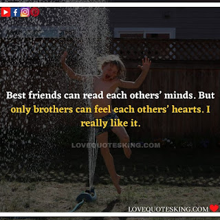 Best Funny Brother Quotes From a Sister | Best Quotes About Brothers To Say | Best Brother Quotes And Sibling Sayings | Funny Quotes On Brother And Sister