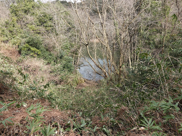 緑水湖湖畔　道路