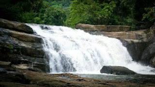 Idukki Tourism | Popular Idukki Tourist places | Thekkady