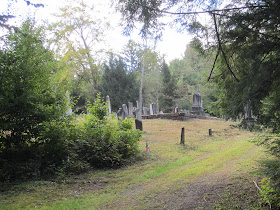 Climbing My Family Tree: Looking up the hill at the right fork