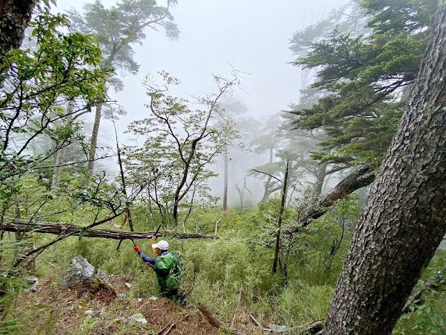 知馬漢山下山途中