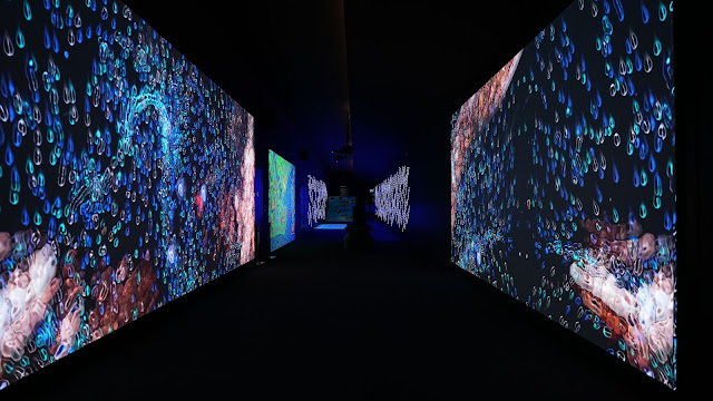 متحف التجربة الرقمية في اسطنبول