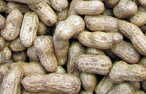 Ragam Nutrisi dan Khasiat Kacang Tanah untuk Kesehatan Tubuh