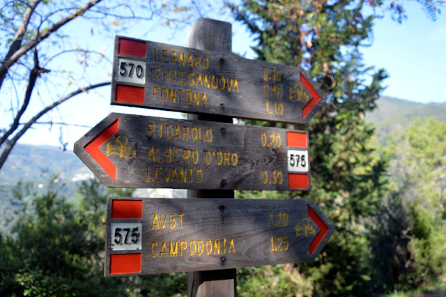 escursioni trekking levanto 