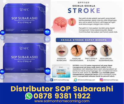 Harga Obat Stroke SOP Subarashi, WA 0878 9381 1922