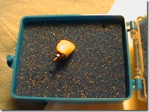 IMGA0458