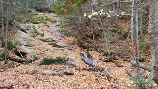 Cascades et cours d'eau sur le sentier du Carcan