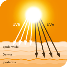 pelle e vitamina d