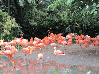 Jurong Bird Park, Singapore