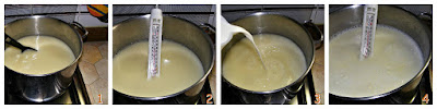 Preparazione ricotta al latte-Sequenza-1.