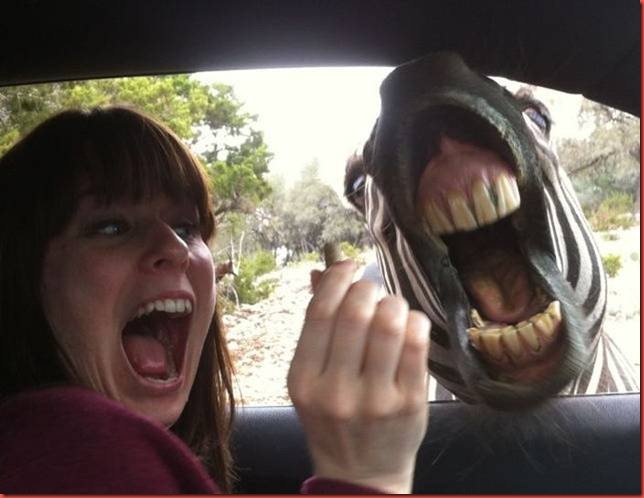 Rite_Mail_Picdump_February_034