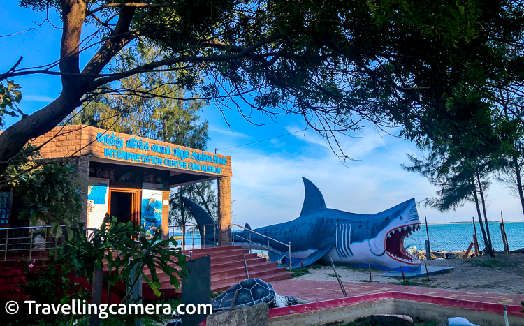 The Marine Museum in Rameshwaram is a popular tourist attraction that showcases the rich marine biodiversity of the Gulf of Mannar Biosphere Reserve. Here is some information about the Marine Museum:    Location: The Marine Museum is located in Rameshwaram town, near the Ramanathaswamy Temple.    Exhibits: The Marine Museum features a variety of exhibits that showcase the marine life of the Gulf of Mannar Biosphere Reserve. The exhibits include live specimens of various marine creatures, such as sea horses, lobsters, and crabs, as well as preserved specimens of shells, corals, and other marine life.    Information: The Marine Museum also provides information about the marine ecosystems of the region, including the coral reefs, mangrove forests, and sea grass beds. Visitors can learn about the importance of these ecosystems and the threats they face.    Activities: The Marine Museum offers several activities for visitors, including a glass-bottom boat ride to explore the marine life of the region, and a virtual reality experience that simulates diving in the Gulf of Mannar.    Accessibility: The Marine Museum is easily accessible by car or auto-rickshaw from Rameshwaram town. It is open every day from 9:00 am to 5:00 pm, and admission is free.