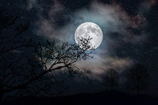 "Full moon glowing in a starry night sky with silhouetted trees and clouds in the foreground."