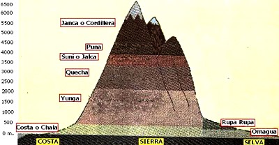 Dibujo de las 8 regiones naturales del Perú