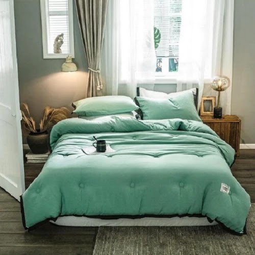 Light Green Comforter Set
