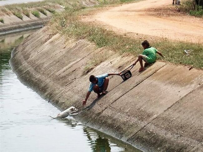 16 Pictures Of Children Restored Our Faith In Humanity - These brave boys found an ingenious way to save the dog.