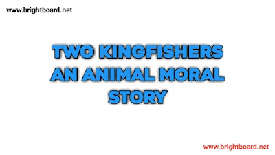 Two Kingfishers an animal moral story for kids brightboard.net