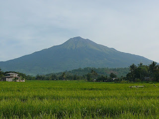   alamat ng bulkang mayon, alamat ng bulkang taal, alamat ng bundok makiling, alamat ng butiki, daragang magayon, alamat ng bahaghari, alamat ng pinya, alamat ng saging, alamat ng mangga