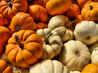 Autumn Gourds4