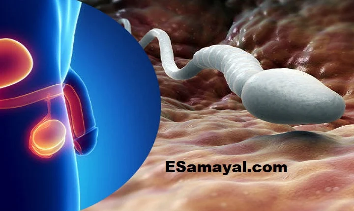 விந்தணு அதிகரித்து யானை பலம் கொடுக்கும் உணவுகள்?  சில டிப்ஸ் !